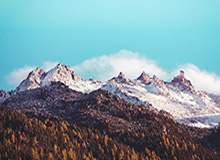 柬媒：柬埔寨国王西哈莫尼和太后莫尼列将访华